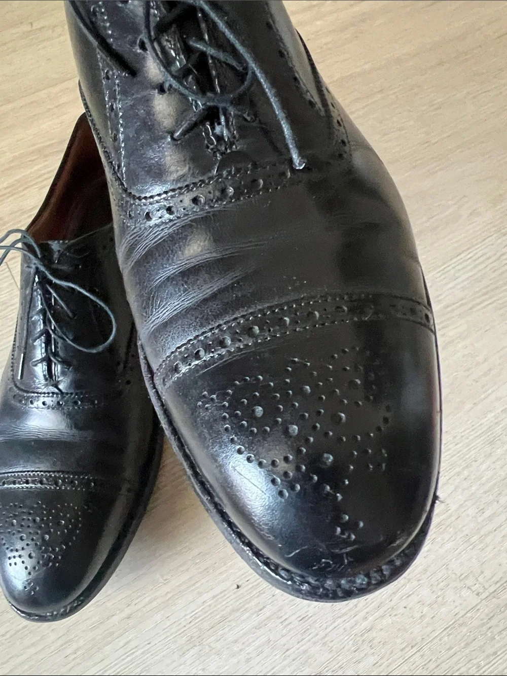 ALDEN 909 Wingtip Cap-Toe Black Lace-Up Oxford -11.5 B/D